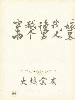 穿越后我嫁给了两个男人暮色酒歌