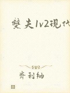 双夫1v2现代