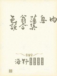 色翁荡息肉欲小说合集