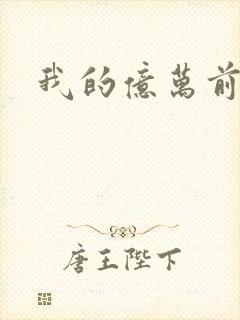 我的亿万前夫