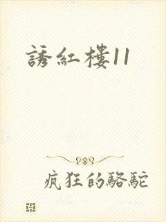 诱红楼11
