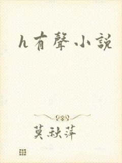 h有声小说封面