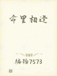命里相逢封面