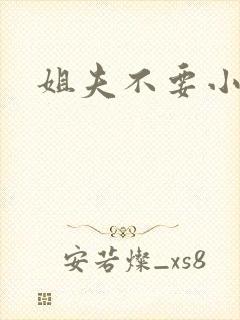 姐夫不要小说
