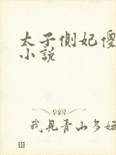 太子侧妃傻乎乎小说