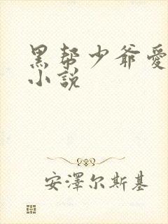 黑帮少爷爱上我小说