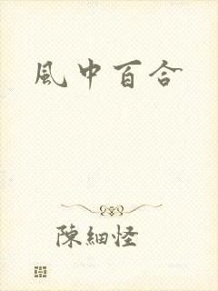 风中百合封面