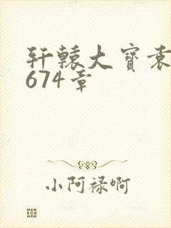 轩辕大宝袁雪妃674章