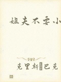 姐夫不要小说封面