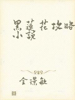 黑莲花攻略手册小说