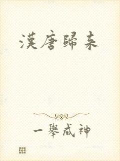 汉唐归来