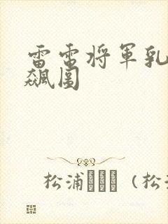 雷电将军乳液狂飙图封面