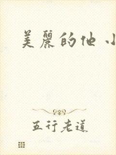 美丽的他 小说