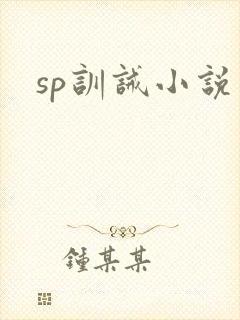 sp训诫小说