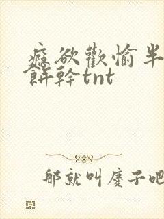 瘾欲欢愉半块小饼干tnt