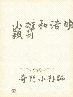 小雄和浩明夹击颖莉