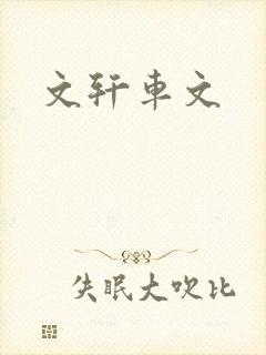 文轩车文