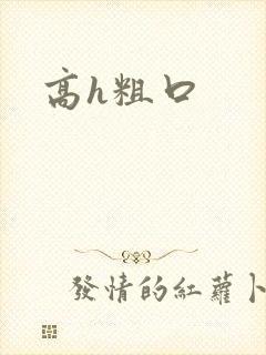 高h粗口