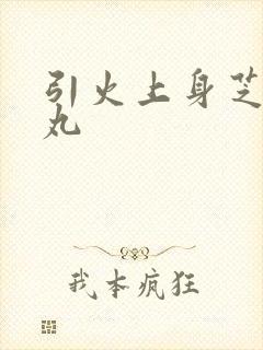 引火上身芝麻糖丸