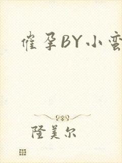 催孕BY小蛮腰