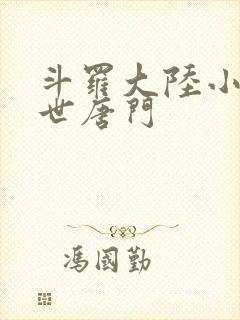 斗罗大陆小说绝世唐门