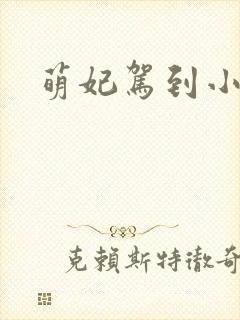 萌妃驾到小说