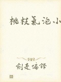 桃枝气泡小说封面