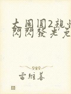 大团圆2亲情会闪闪发光免费