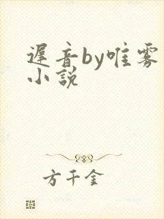 迟音by唯雾的小说