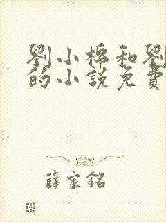 刘小棉和刘易文的小说免费阅读