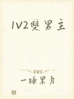 1V2双男主