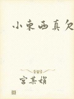 小东西真欠弄