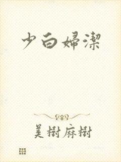 少白妇洁封面