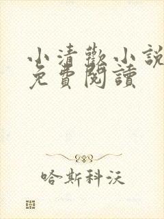小清欢小说全文免费阅读封面
