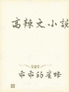 高辣文小说