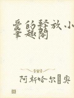 爱的释放小说 笔趣阁