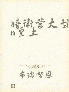 暗卫营大型hpn皇上封面