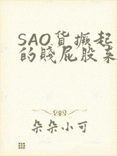 SAO货撅起你的贱屁股来