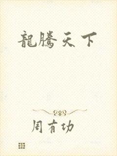 龙腾天下封面