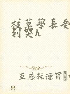 校草学长受被做到哭h