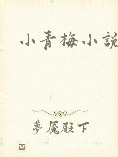 小青梅小说