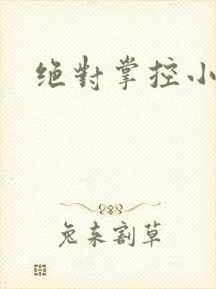绝对掌控小说