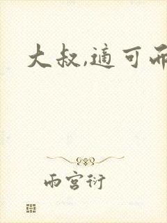大叔,适可而止封面