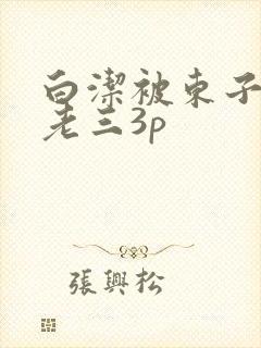 白洁被东子老二老三3p封面