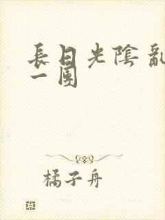 长日光阴 乱作一团封面