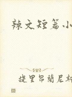 辣文短篇小说