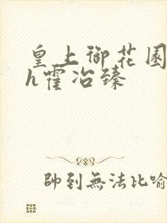 皇上御花园hlh霍冶臻封面