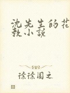 沈先生的花式调教小说