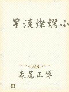 星汉灿烂小说