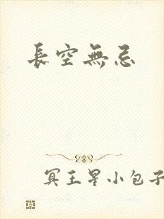 长空无忌封面